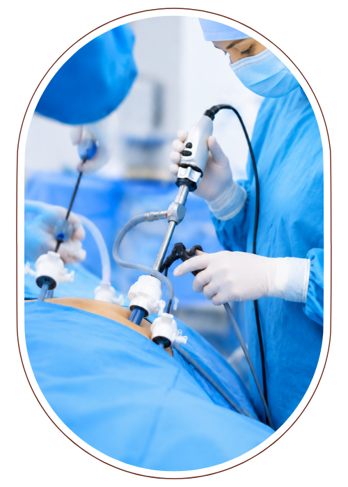 Laparoscopic surgery instruments and anatomy